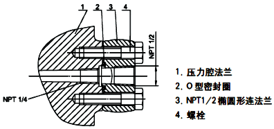 单晶硅变送器过程连接-1/2NPT不锈钢椭圆形法兰(代码1)